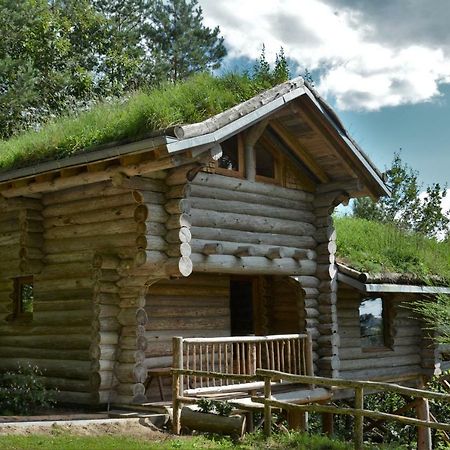 La Cabane De Hans Saint-Martial-de-Gimel Zewnętrze zdjęcie