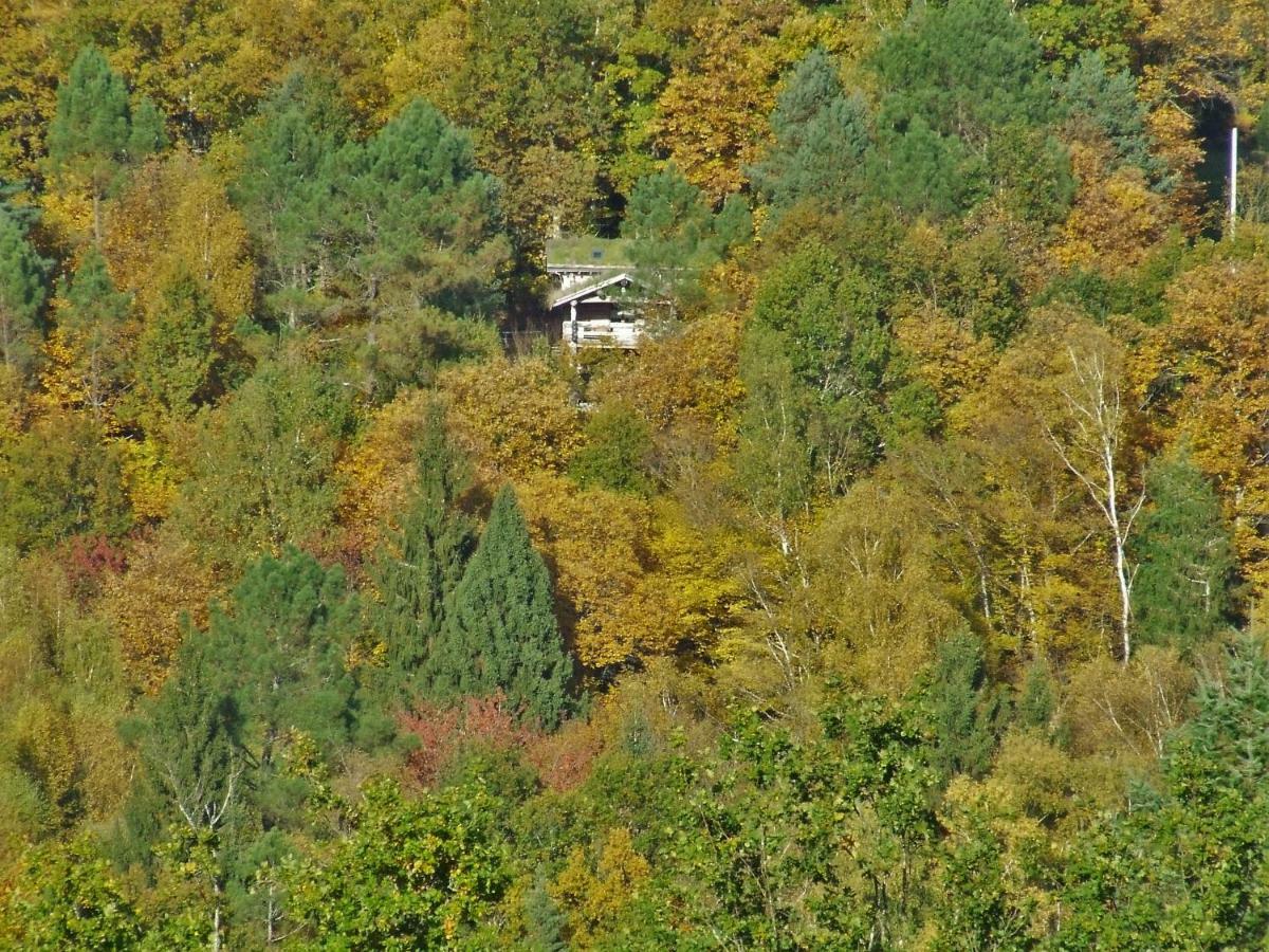 La Cabane De Hans Saint-Martial-de-Gimel Zewnętrze zdjęcie